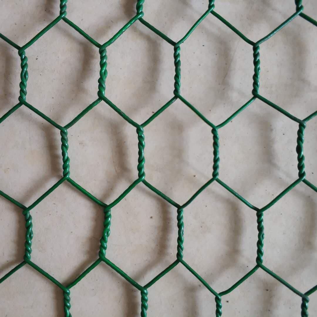 For Korea Market PVC Coated Wire Made Hexagonal Mesh